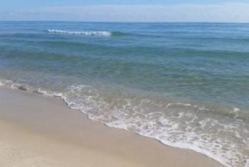 海湾海岸和奥兰治海滩的万博官方网页版海滩