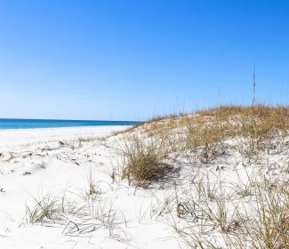 沙丘保护着阿拉巴马州的海滩