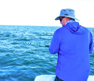 阿拉巴马湾沿岸渔业
