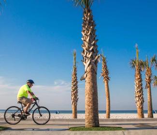 在海湾海岸骑自行车