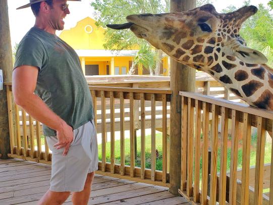男子在阿拉巴马湾海岸动物园喂长颈鹿