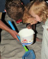 爸爸和孩子们在阿拉巴马州的海滩上捉螃蟹