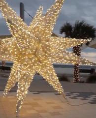 海湾海岸的圣诞彩灯