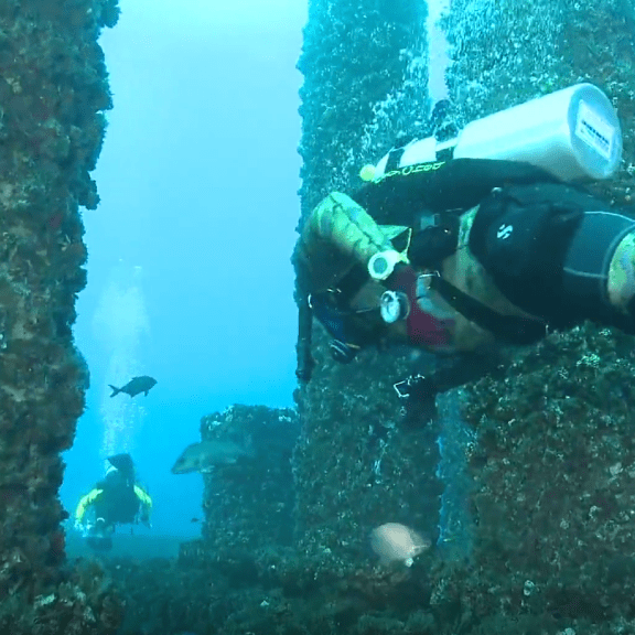 潜水墨西哥湾沿岸