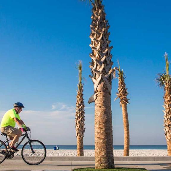 秋天在海湾海岸海滩骑自行车