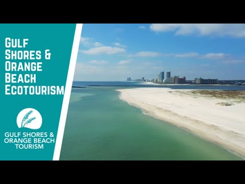 播放题为“通过海湾海岸和橘子海滩的生态旅游保持阿拉巴马海岸清洁”的视频万博官方网页版